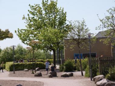 Billede af legestrøget med træ i midten.